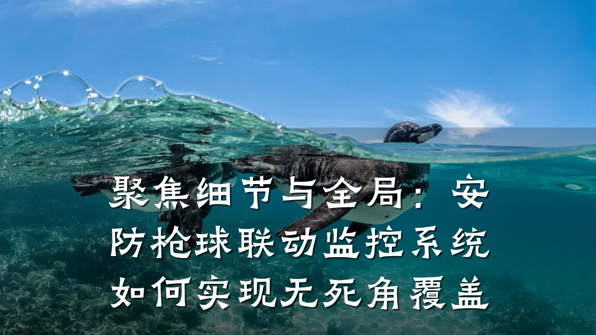 聚焦细节与全局:安防枪球联动监控系统如何实现无死角覆盖
