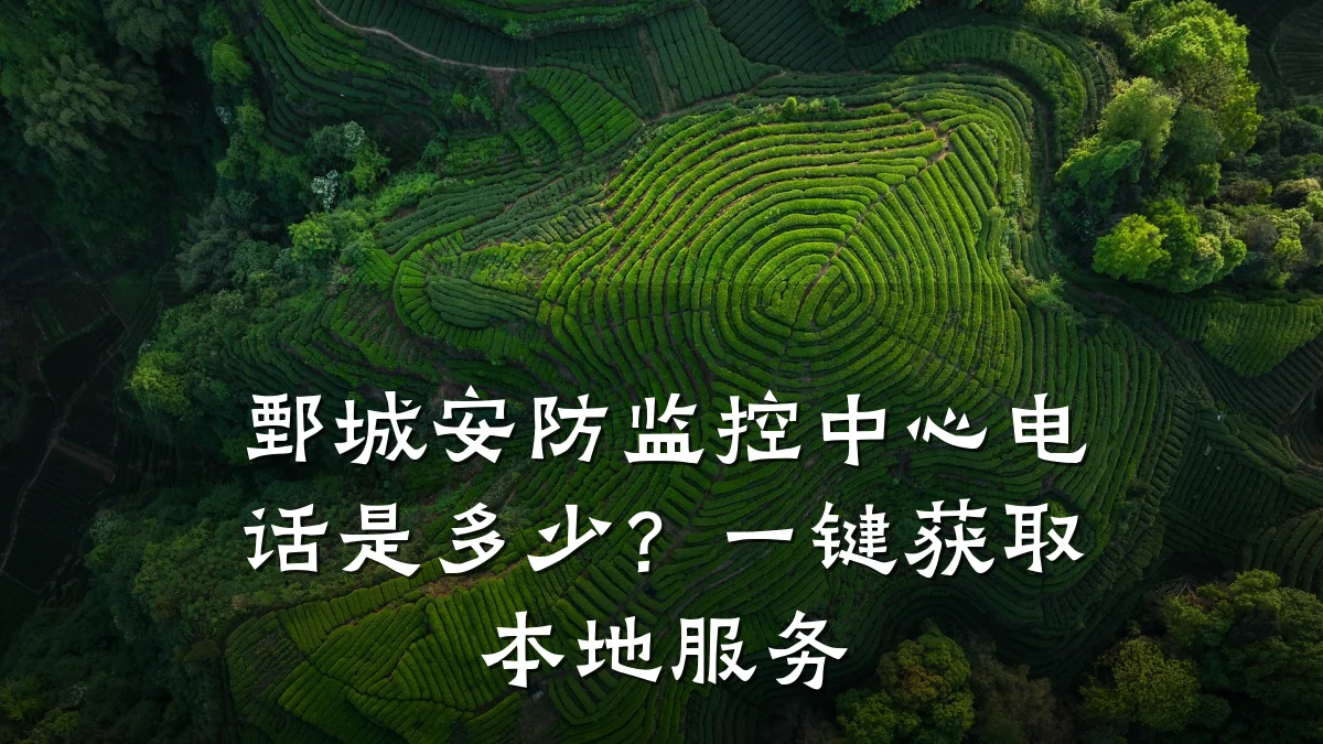 鄄城安防监控中心电话是多少?一键获取本地服务