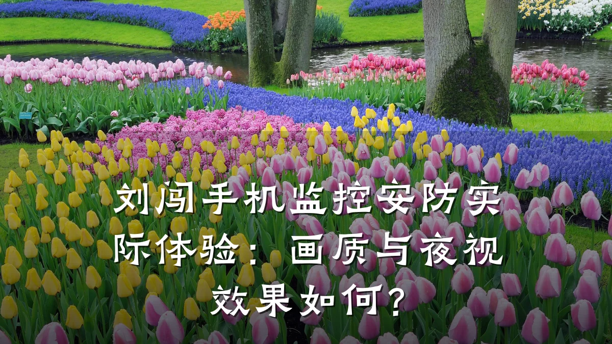 刘闯手机监控安防实际体验:画质与夜视效果如何?