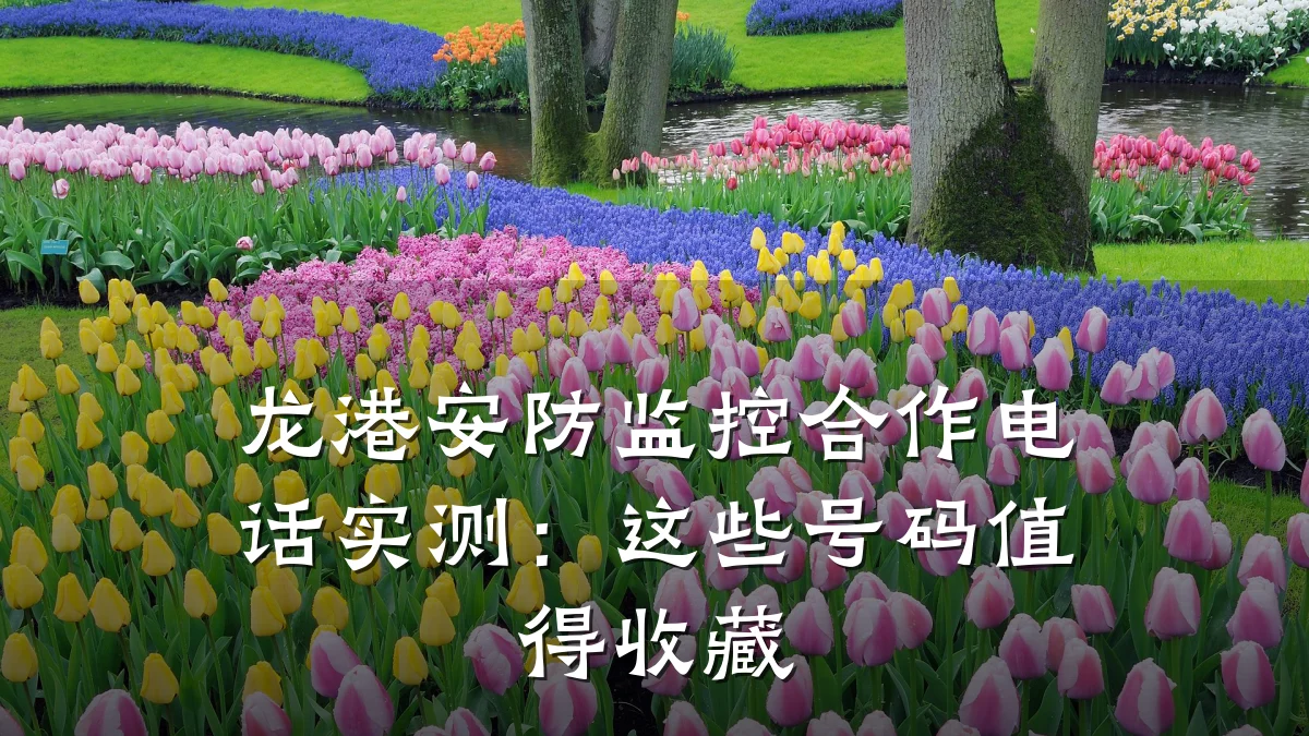 龙港安防监控合作电话实测:这些号码值得收藏
