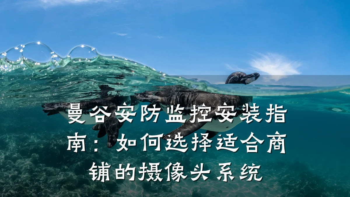 曼谷安防监控安装指南:如何选择适合商铺的摄像头系统