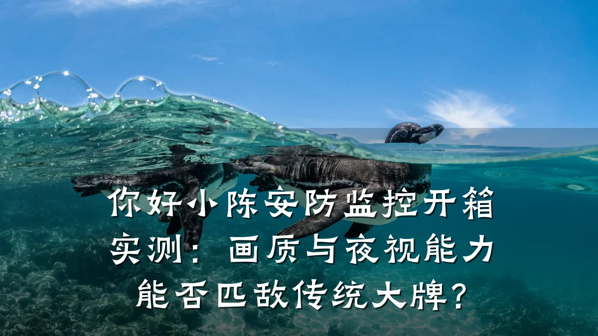 你好小陈安防监控开箱实测:画质与夜视能力能否匹敌传统大牌?