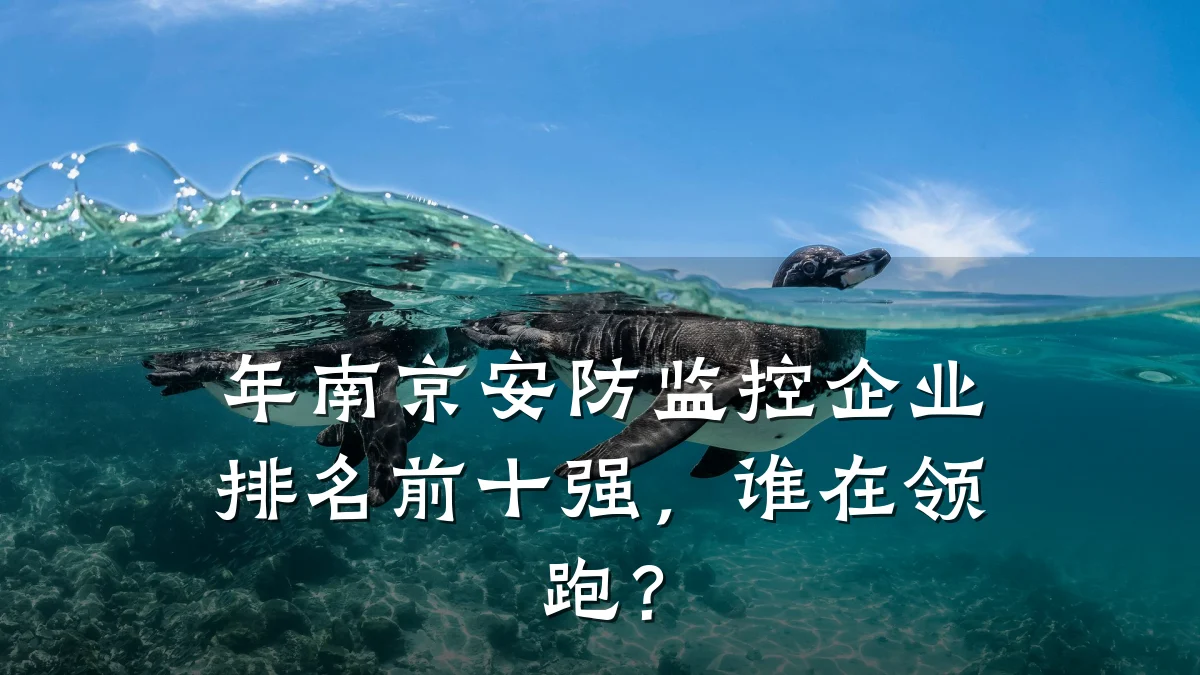 年南京安防监控企业排名前十强,谁在领跑?