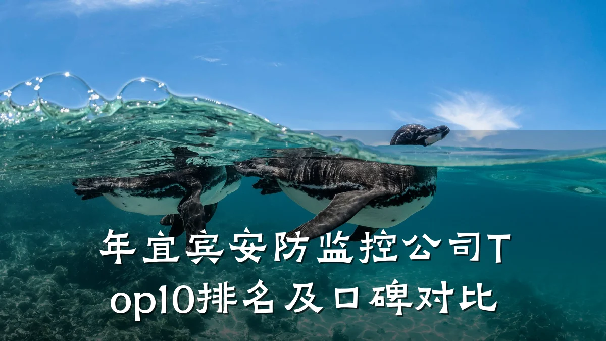 年宜宾安防监控公司Top10排名及口碑对比