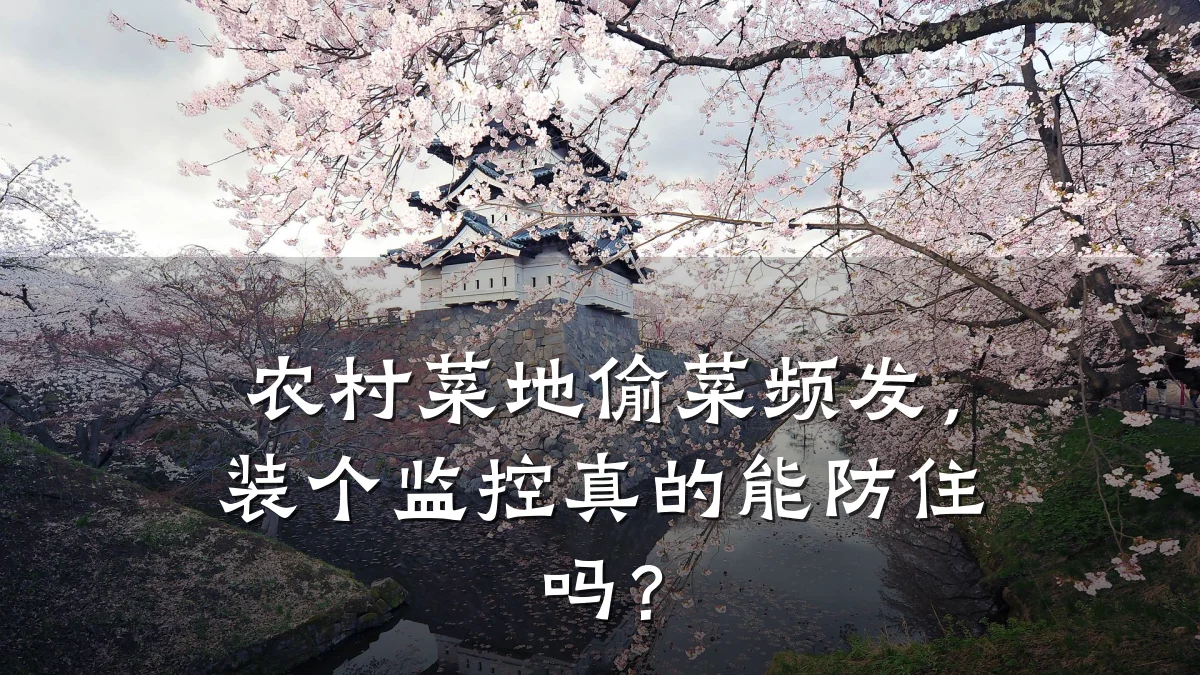 农村菜地偷菜频发,装个监控真的能防住吗?