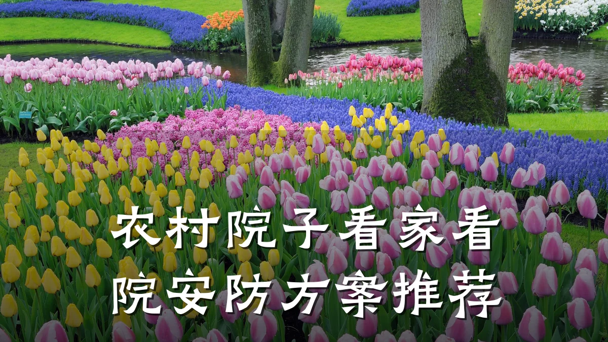 农村院子看家看院安防方案推荐