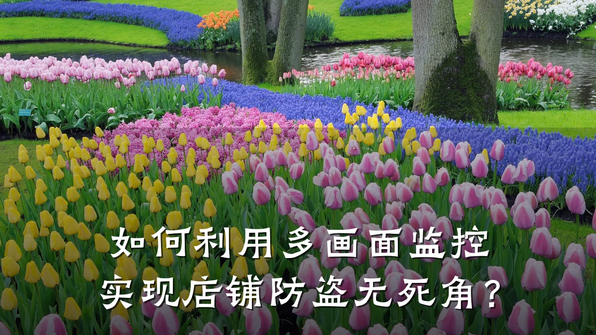 如何利用多画面监控实现店铺防盗无死角?