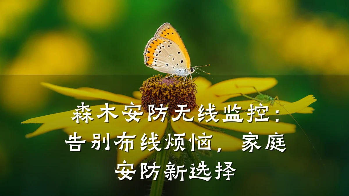 森木安防无线监控:告别布线烦恼,家庭安防新选择
