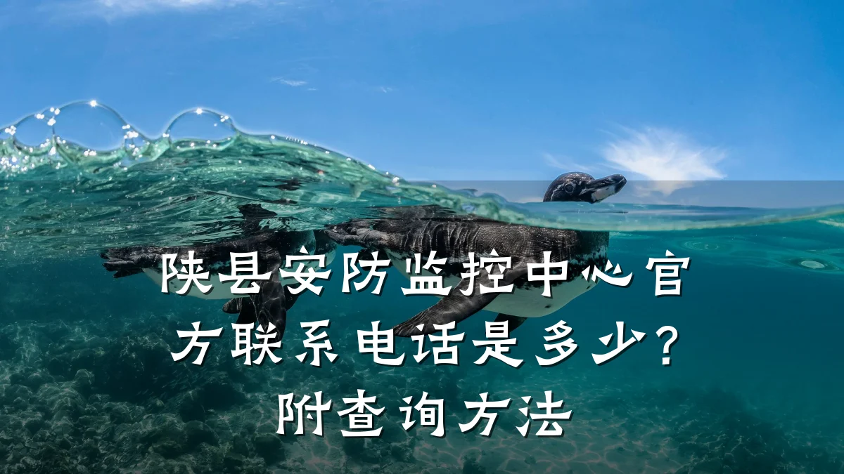 陕县安防监控中心官方联系电话是多少?附查询方法