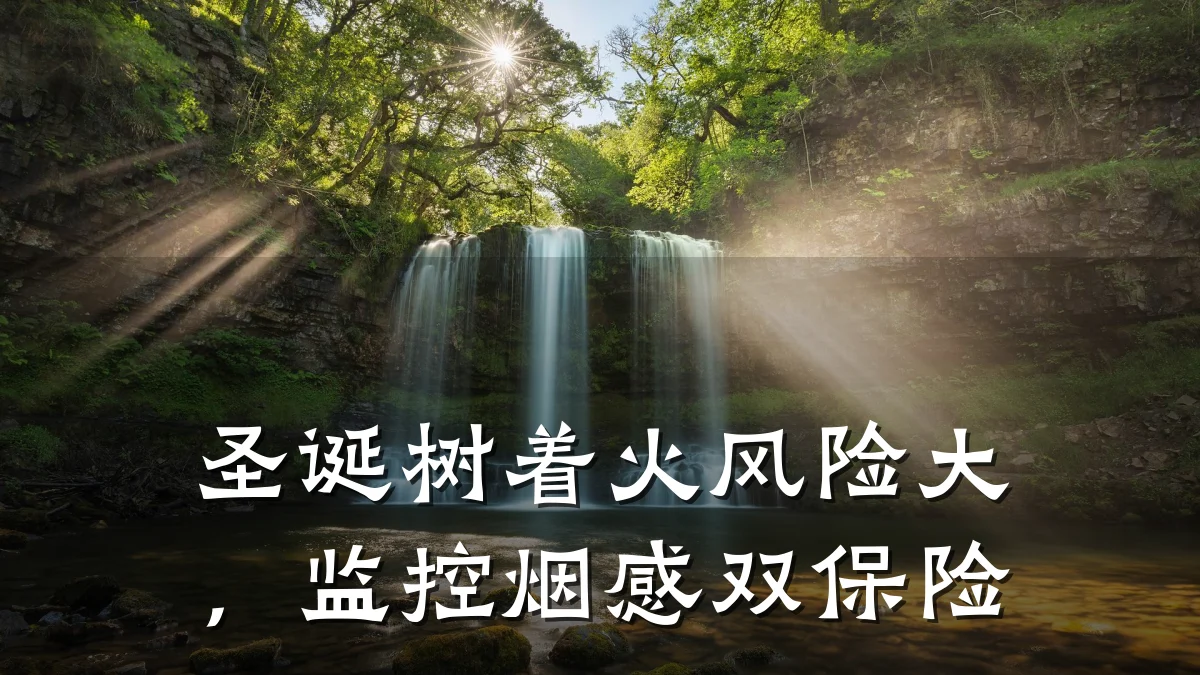 圣诞树着火风险大,监控烟感双保险
