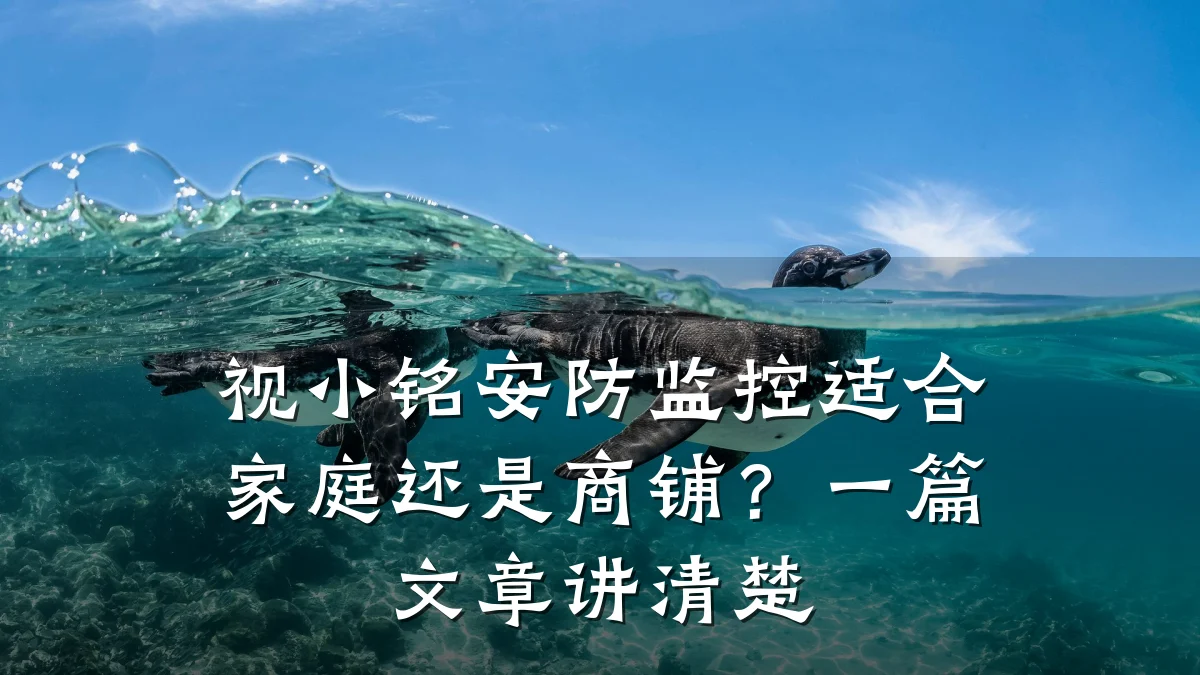 视小铭安防监控适合家庭还是商铺?一篇文章讲清楚