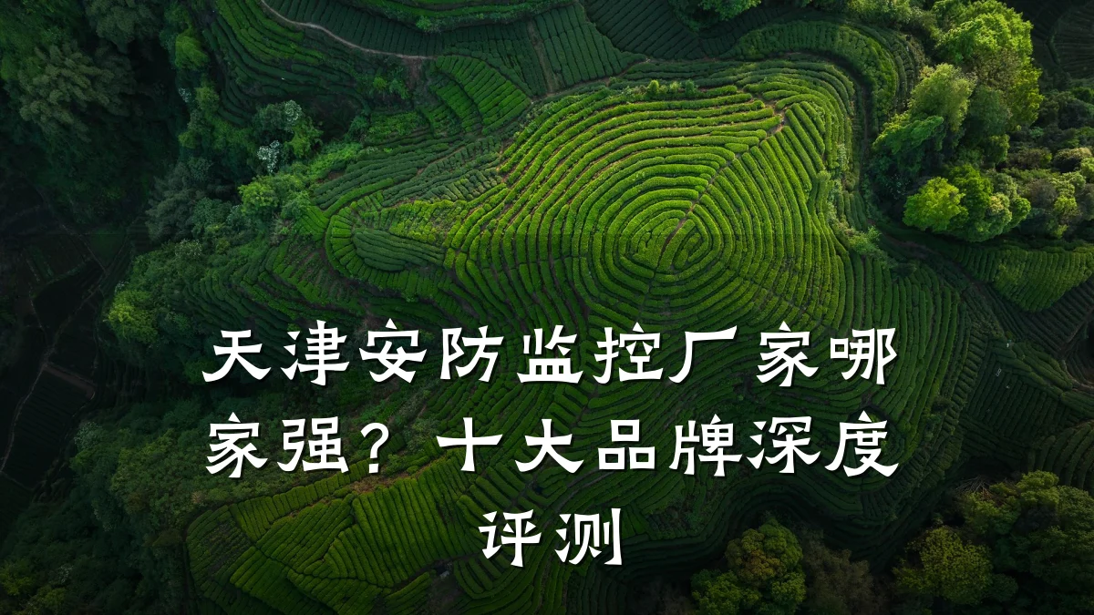 天津安防监控厂家哪家强?十大品牌深度评测