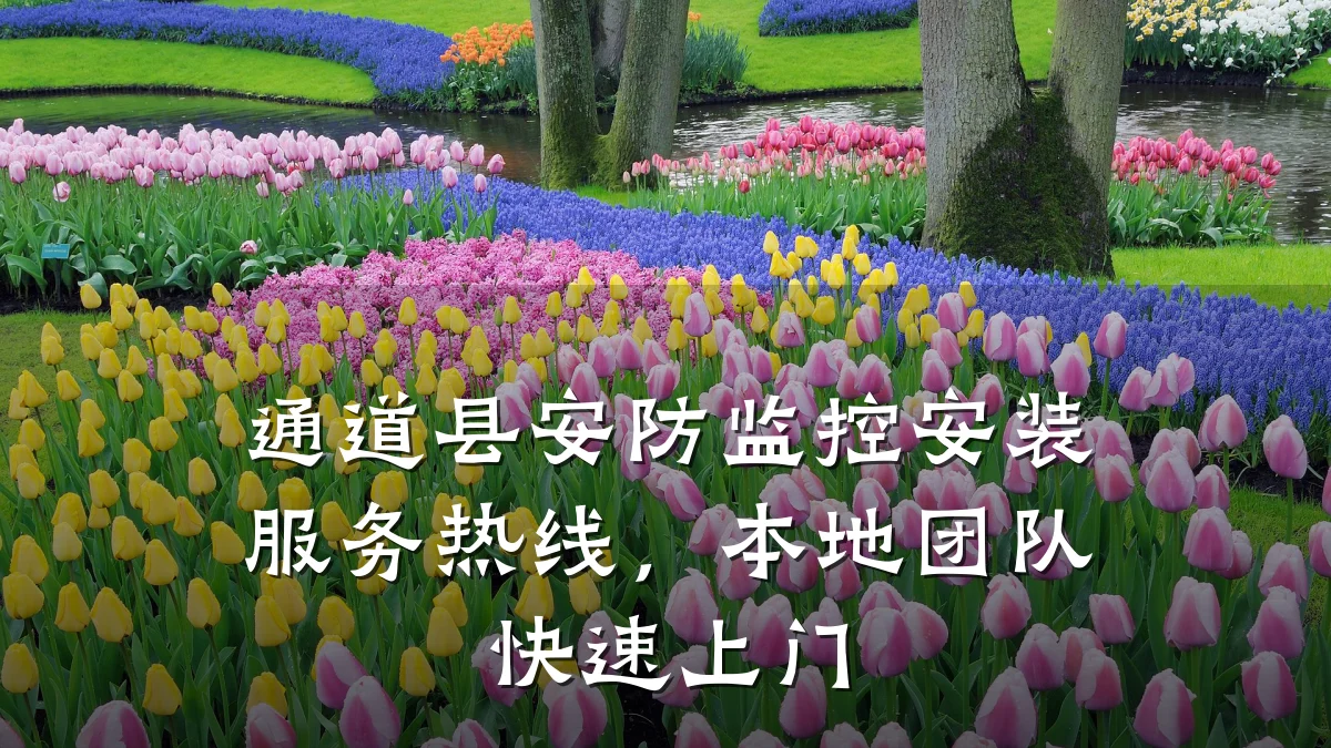 通道县安防监控安装服务热线,本地团队快速上门