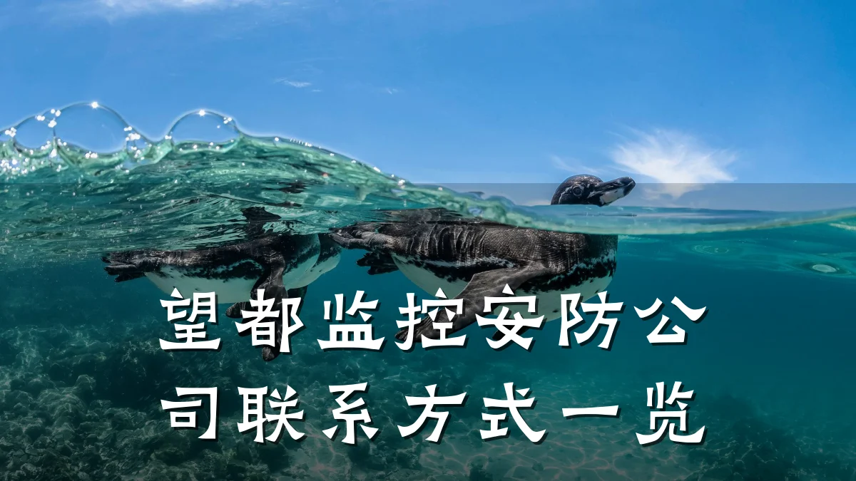 望都监控安防公司联系方式一览