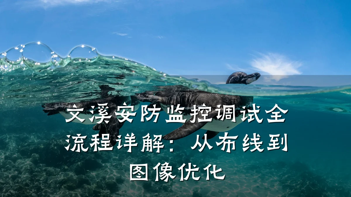 文溪安防监控调试全流程详解:从布线到图像优化