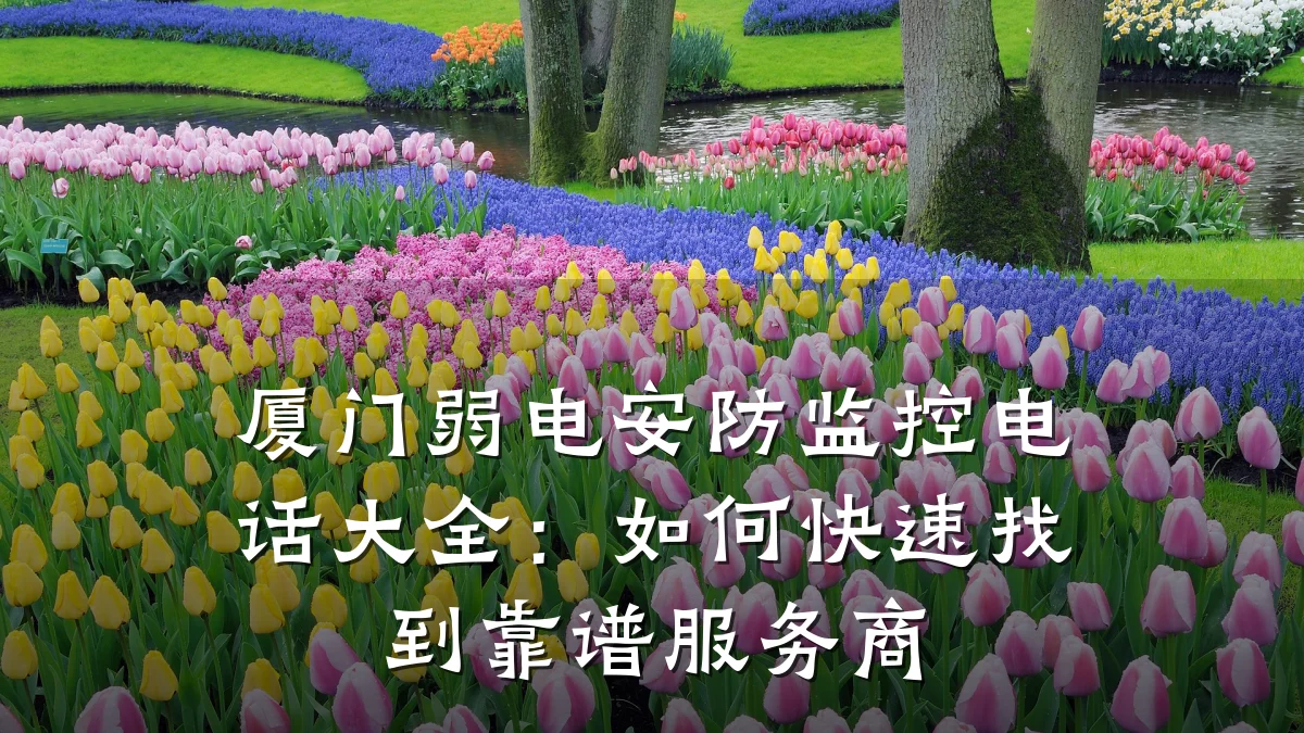 厦门弱电安防监控电话大全：如何快速找到靠谱服务商