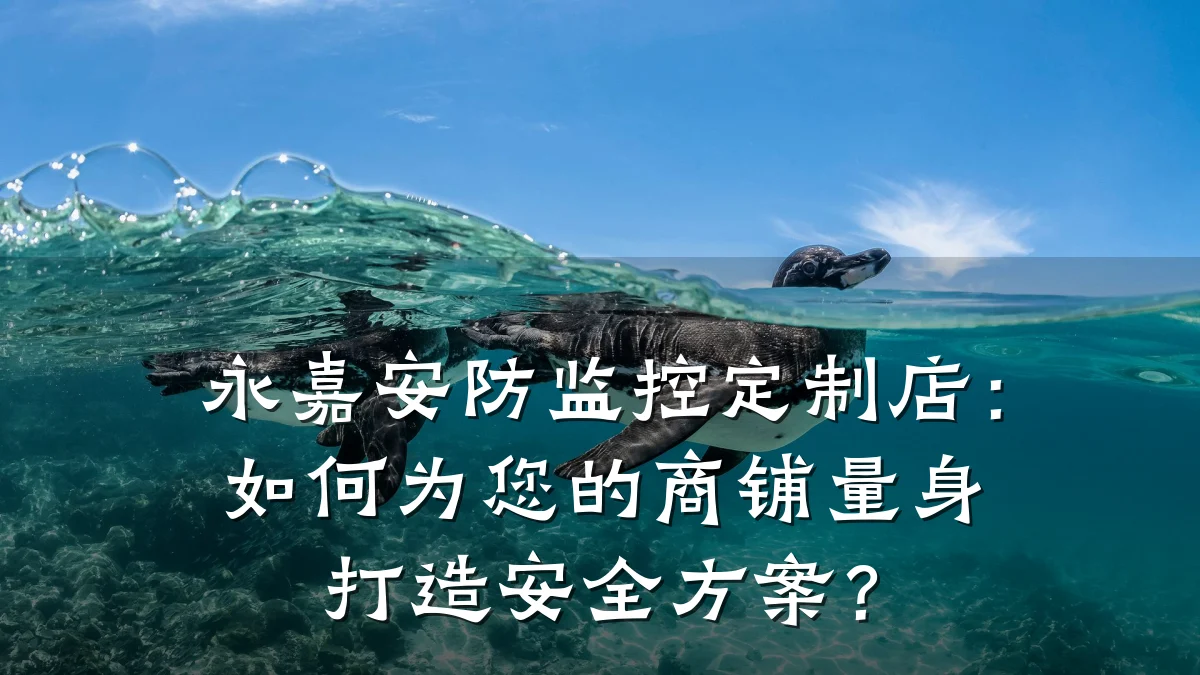 永嘉安防监控定制店：如何为您的商铺量身打造安全方案？