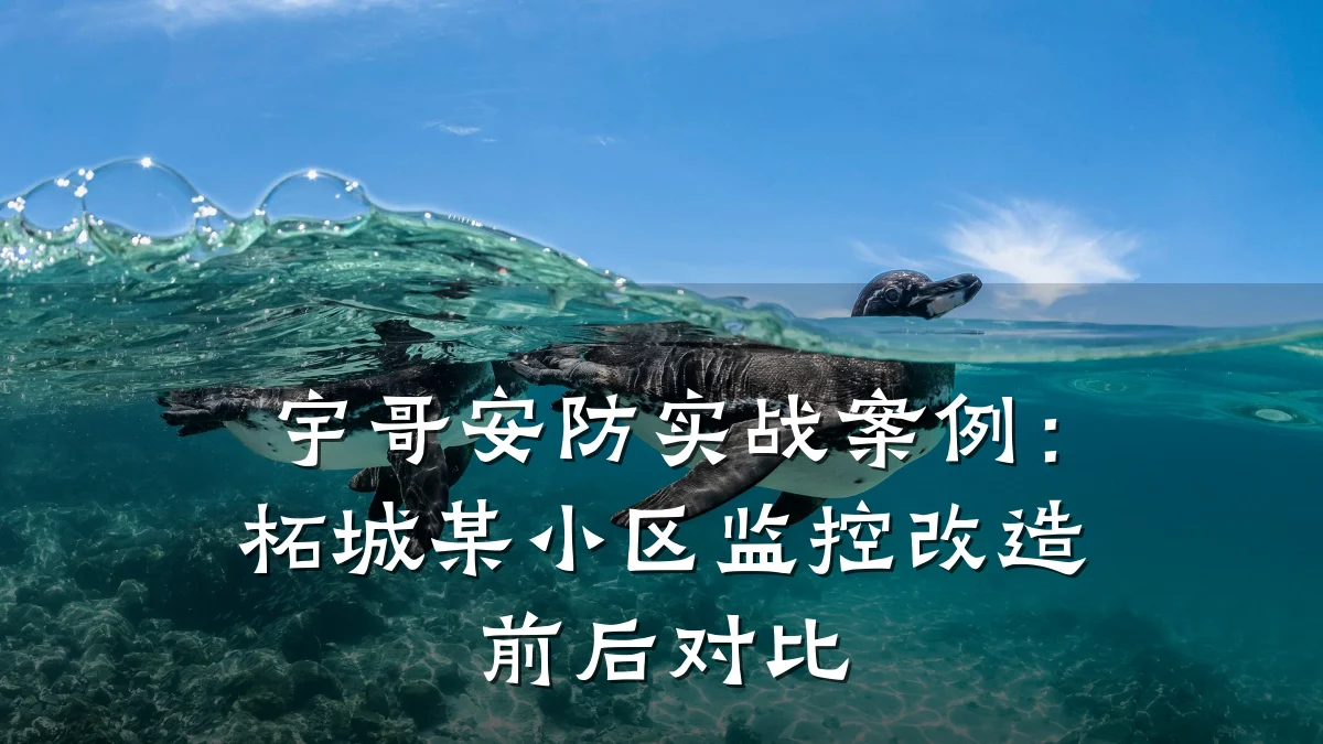 宇哥安防实战案例:柘城某小区监控改造前后对比