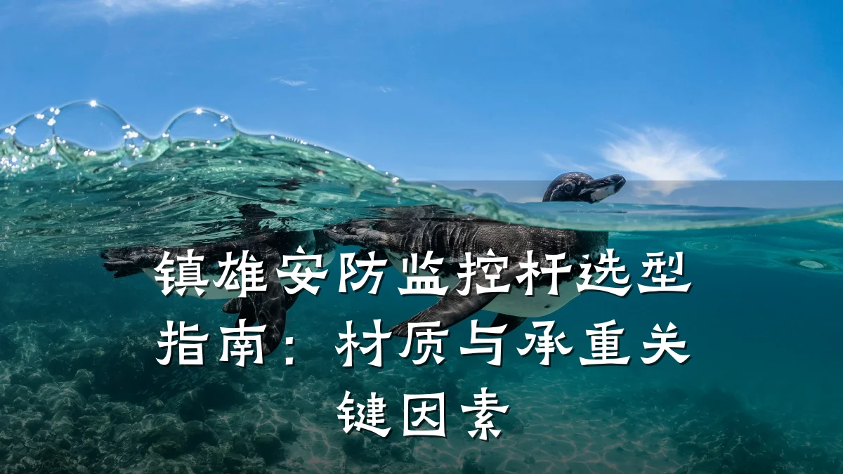镇雄安防监控杆选型指南:材质与承重关键因素