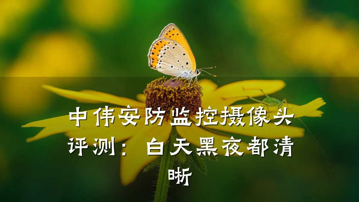 中伟安防监控摄像头评测:白天黑夜都清晰