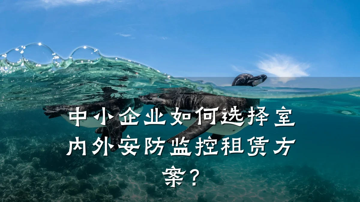 中小企业如何选择室内外安防监控租赁方案?