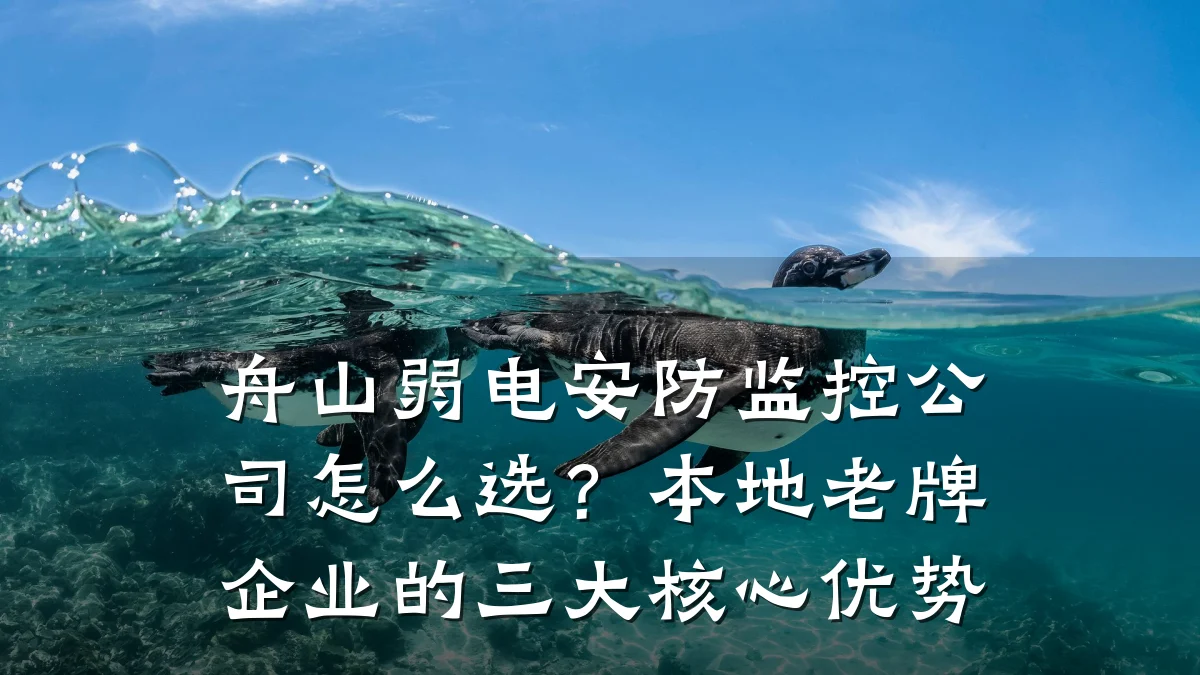 舟山弱电安防监控公司怎么选?本地老牌企业的三大核心优势