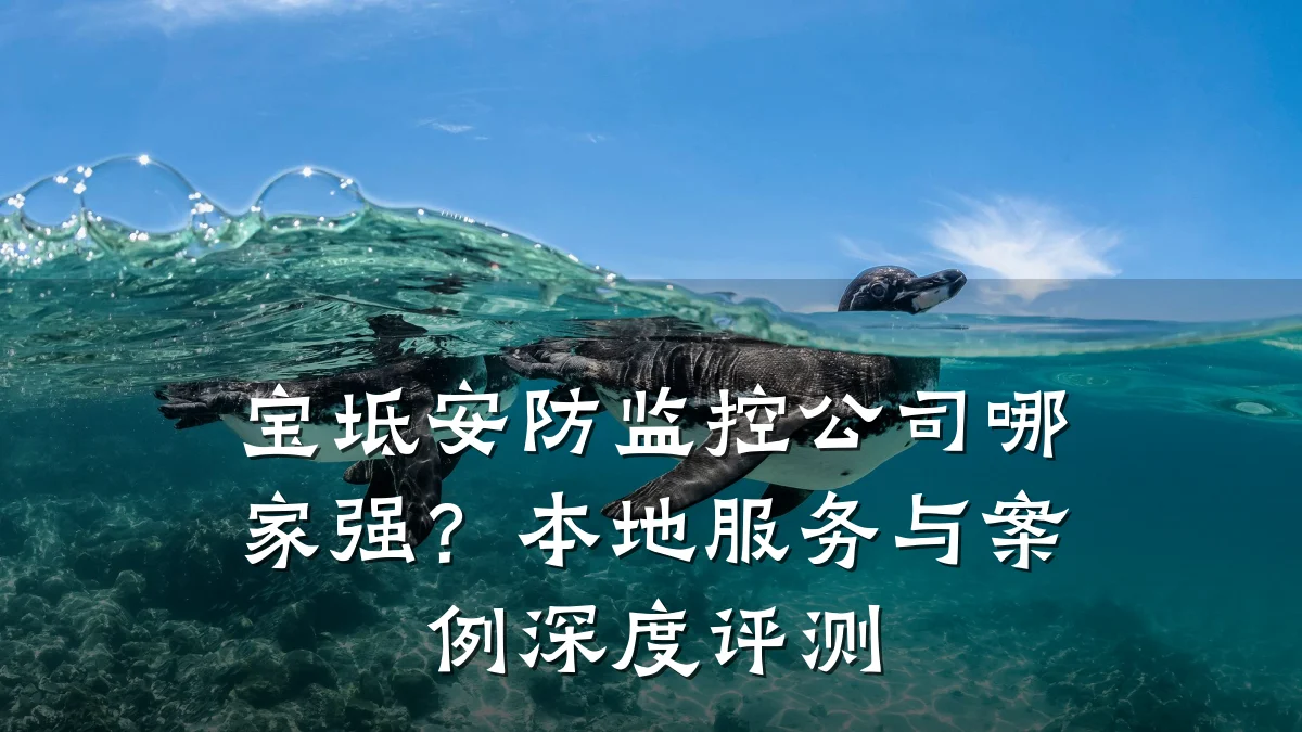 宝坻安防监控公司哪家强？本地服务与案例深度评测