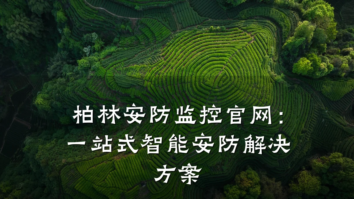 柏林安防监控官网:一站式智能安防解决方案