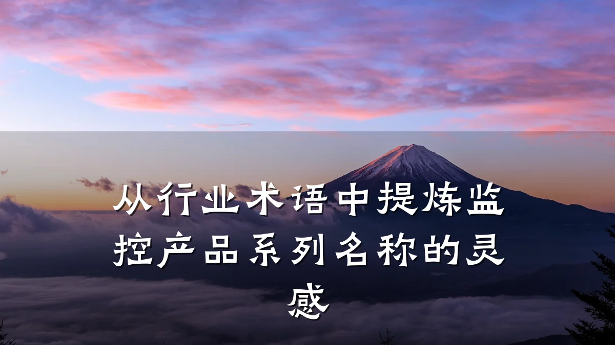 从行业术语中提炼监控产品系列名称的灵感