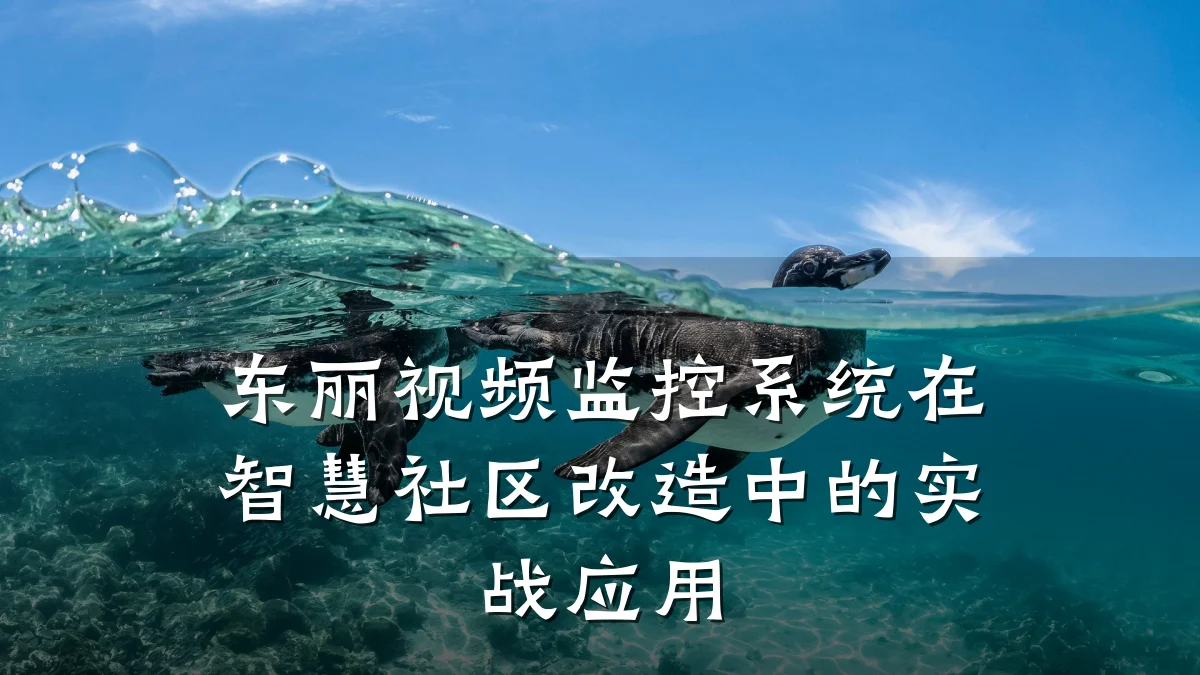 东丽视频监控系统在智慧社区改造中的实战应用