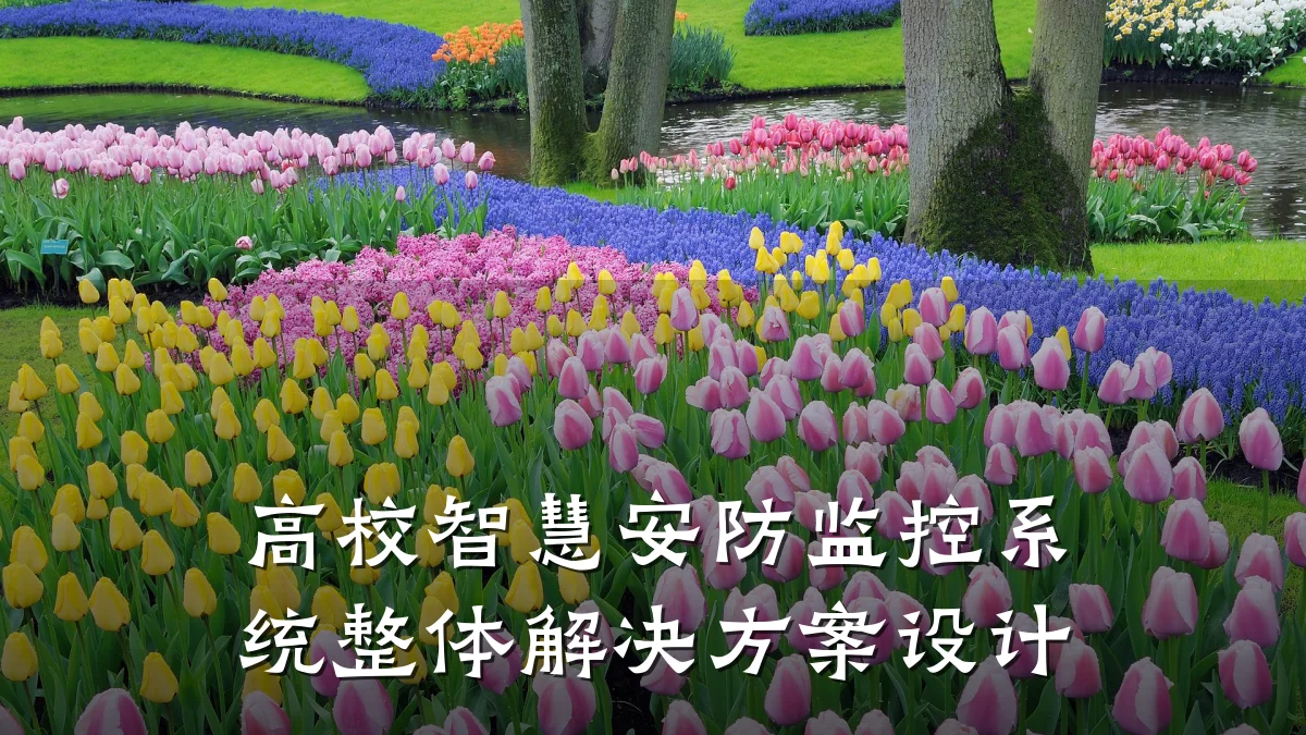 高校智慧安防监控系统整体解决方案设计