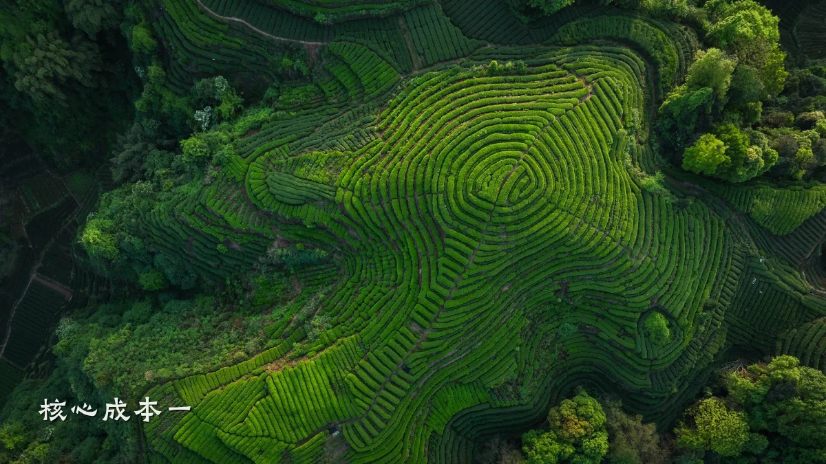 核心成本一
