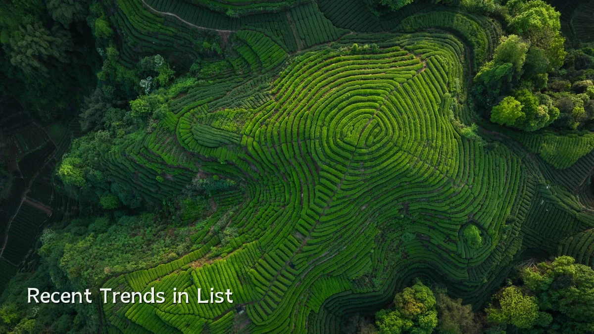 Recent Trends in List