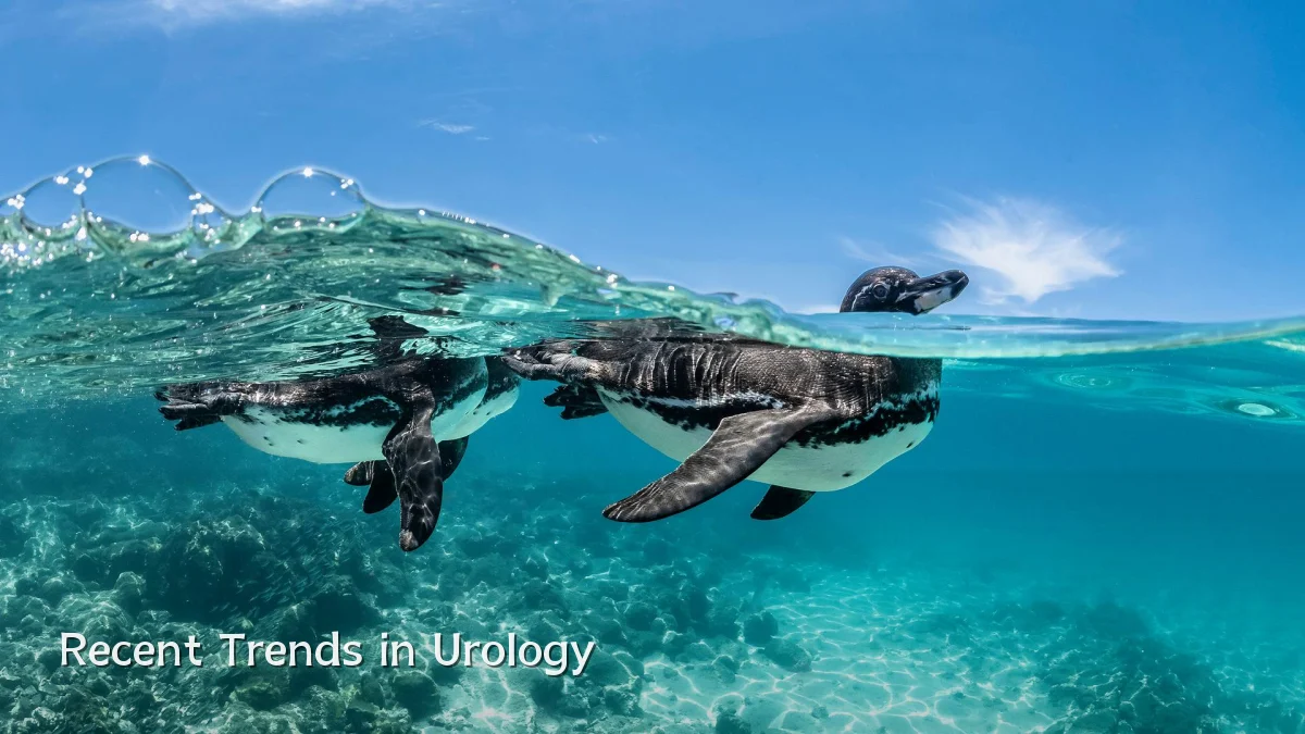 Recent Trends in Urology