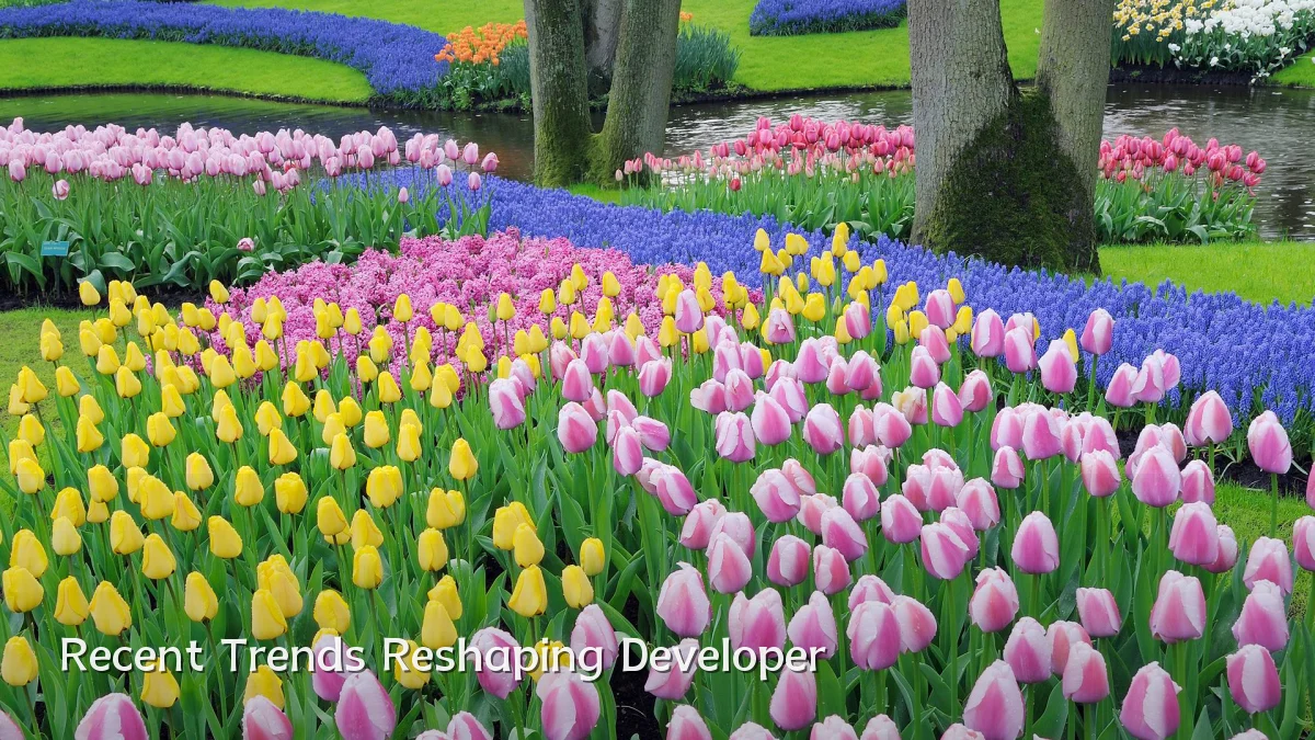 Recent Trends Reshaping Developer