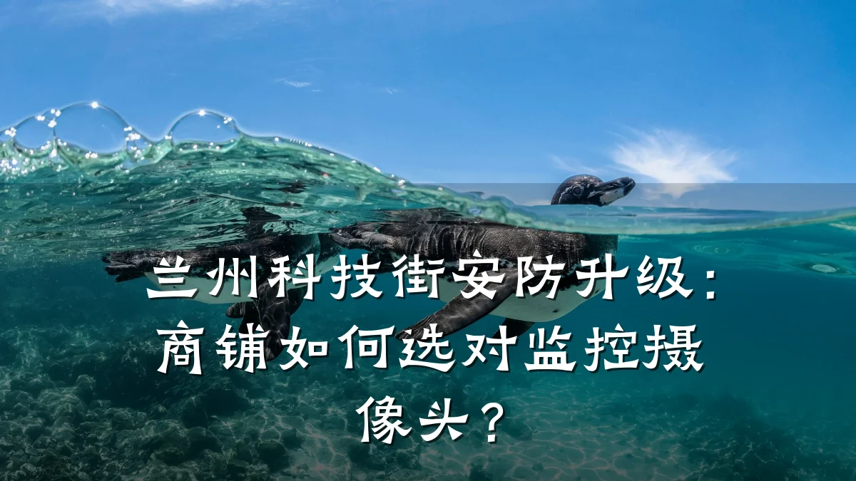 兰州科技街安防升级:商铺如何选对监控摄像头?