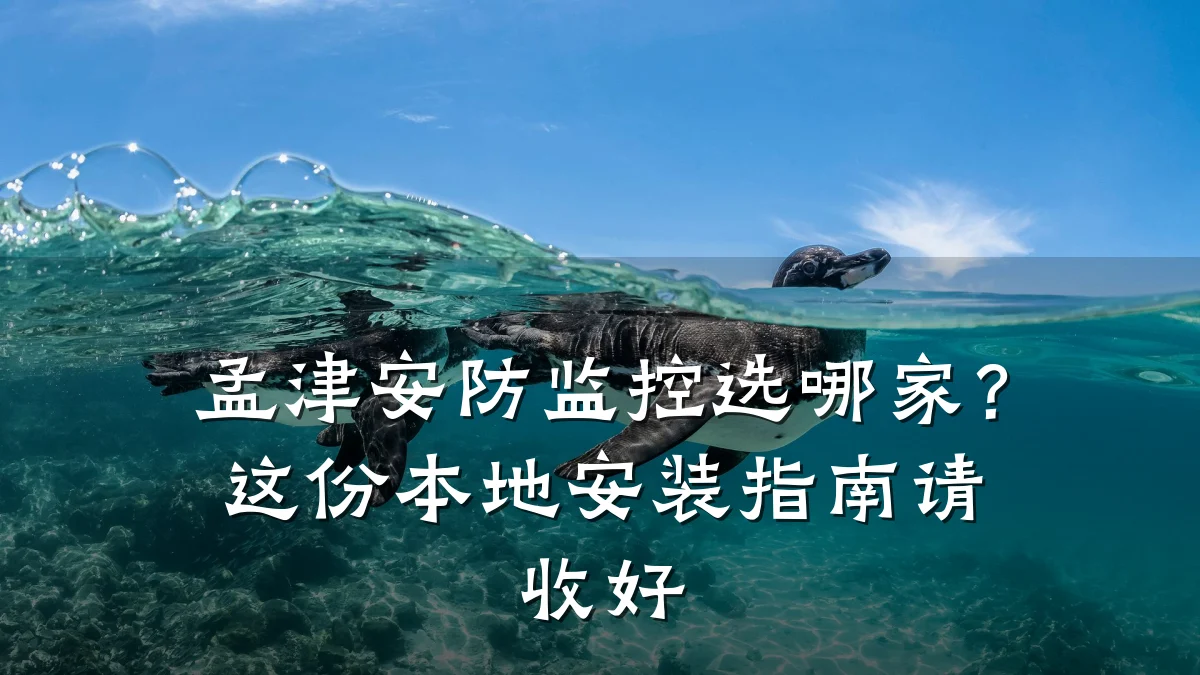 孟津安防监控选哪家?这份本地安装指南请收好