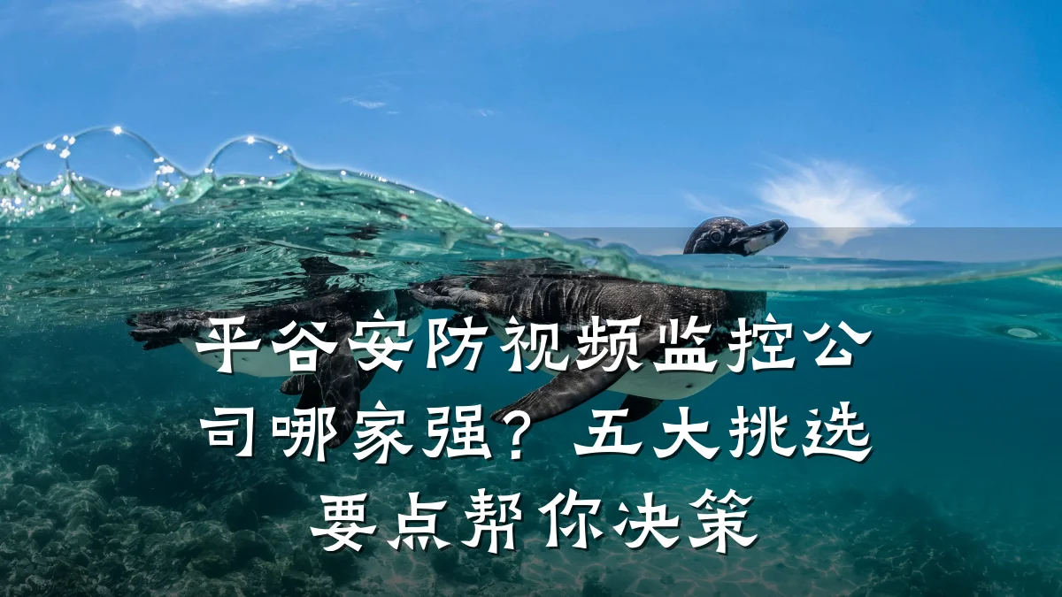 平谷安防视频监控公司哪家强?五大挑选要点帮你决策