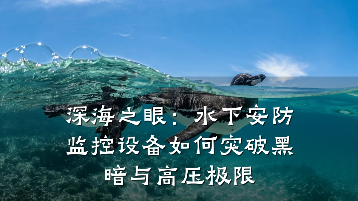 深海之眼:水下安防监控设备如何突破黑暗与高压极限
