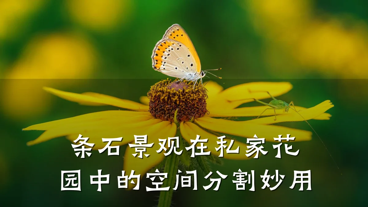 条石景观在私家花园中的空间分割妙用