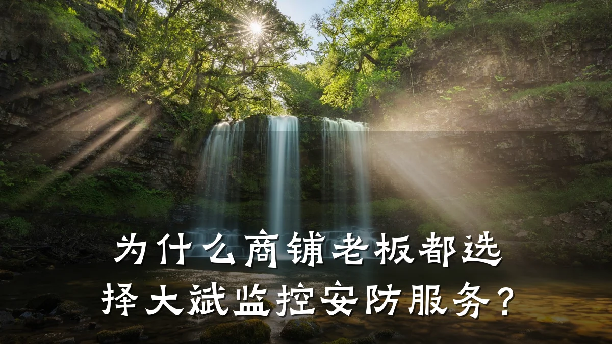 为什么商铺老板都选择大斌监控安防服务?