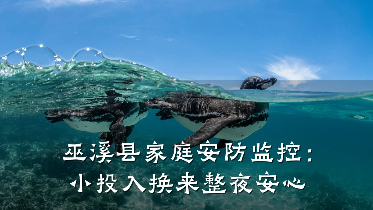 巫溪县家庭安防监控:小投入换来整夜安心