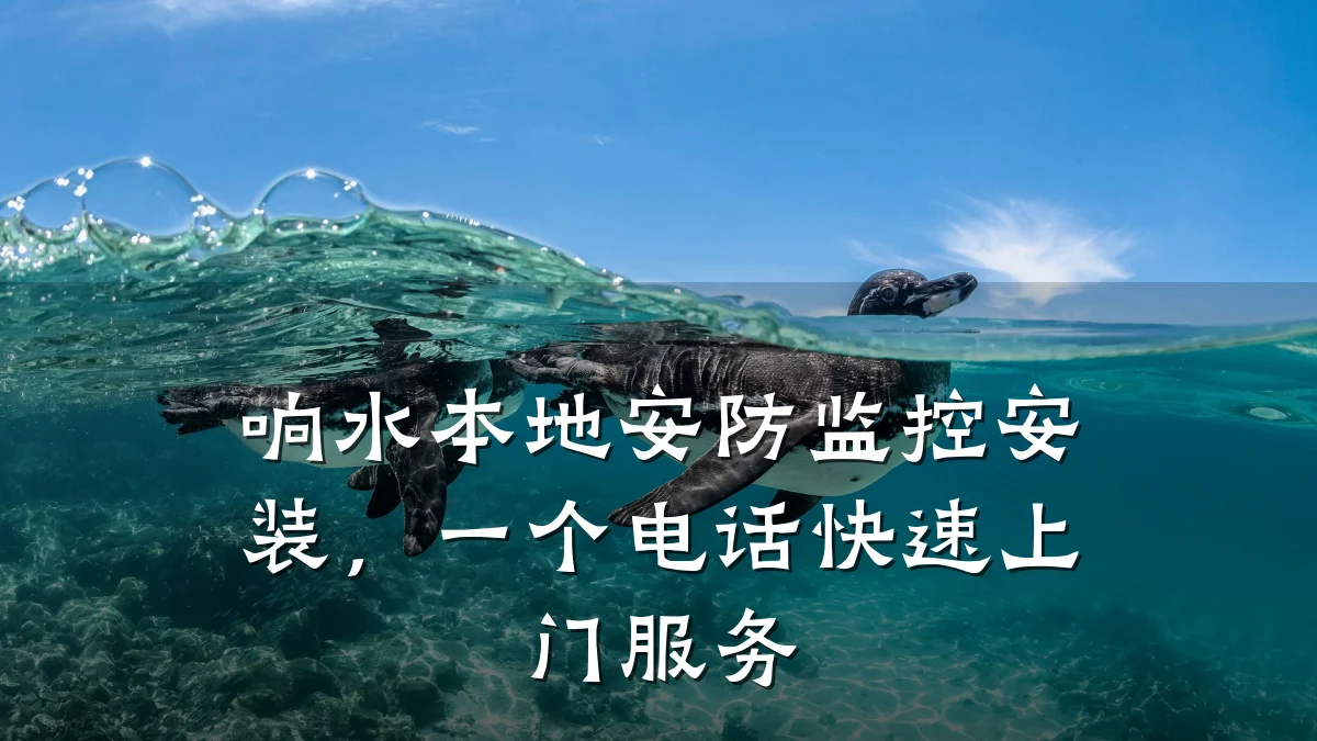 响水本地安防监控安装,一个电话快速上门服务