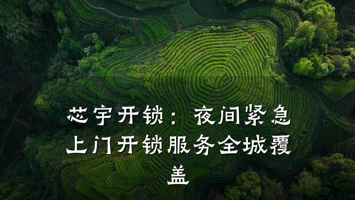 芯宇开锁:夜间紧急上门开锁服务全城覆盖