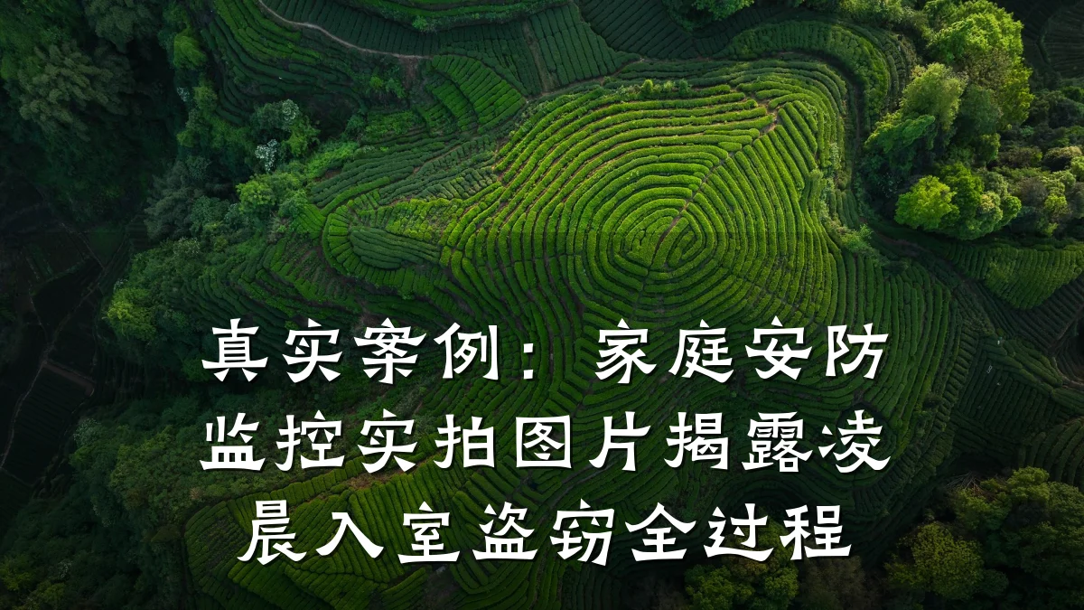 真实案例:家庭安防监控实拍图片揭露凌晨入室盗窃全过程