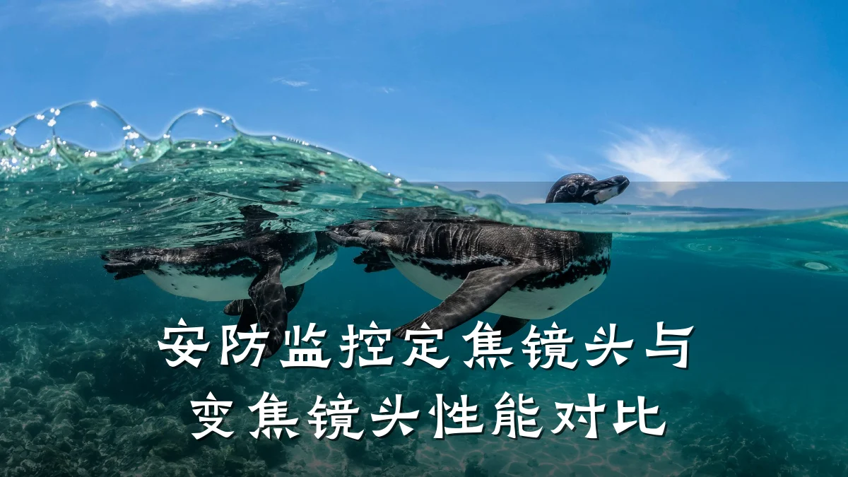 安防监控定焦镜头与变焦镜头性能对比