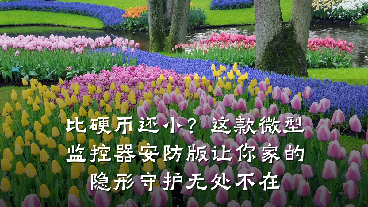 比硬币还小?这款微型监控器安防版让你家的隐形守护无处不在