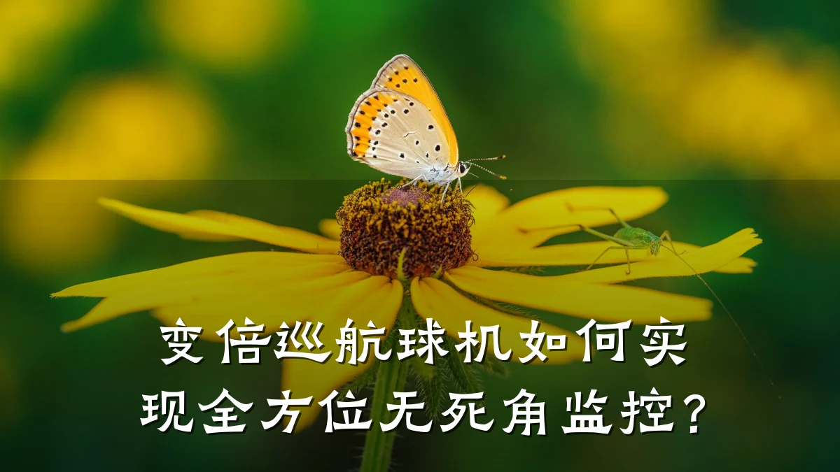 变倍巡航球机如何实现全方位无死角监控?