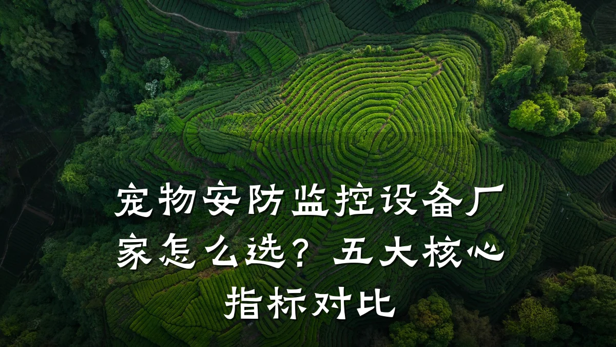 宠物安防监控设备厂家怎么选？五大核心指标对比