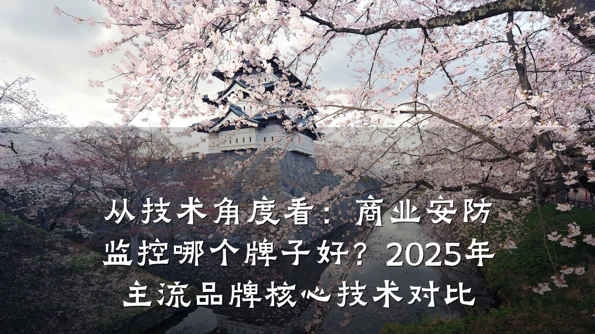 从技术角度看:商业安防监控哪个牌子好?2025年主流品牌核心技术对比